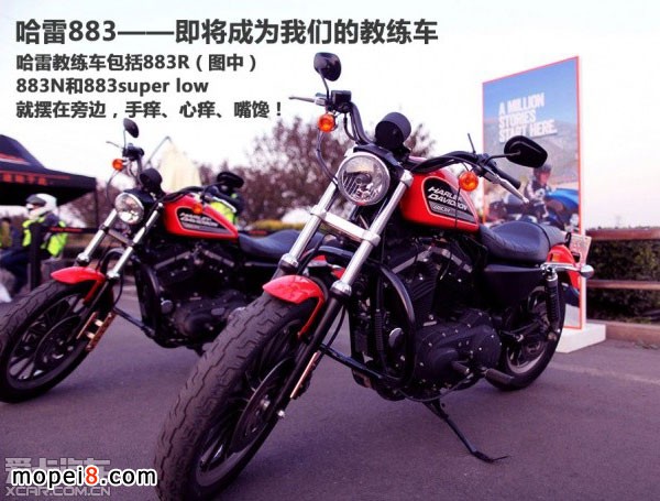 ���״��SɭĦ��܇�T�ЌWԺ����