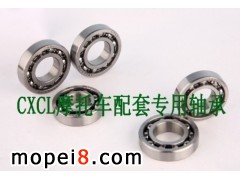 CXCLĦ��܇�S��