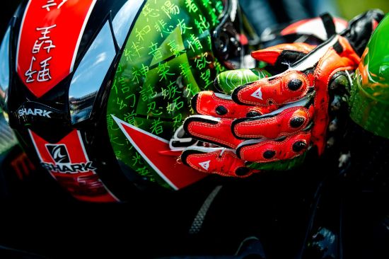 �O���Ї�Ԫ�ص�SHARK피�Ħ���^��