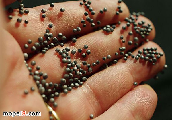 ����EPS����Û�Ծ��ұ�ϩ���^���r��