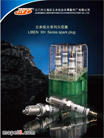 立本專利炫火火花塞