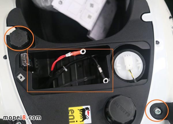 ����&bull;�ȁ���ZIPȫ���N��50�f�v�o���̤��Ħ��܇