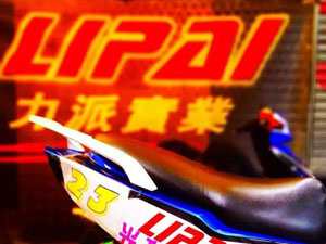 LIPAI���Ɍ��I܇ꠅ�ِ2015ȫ����·Ħ��܇�\��ِ (15)