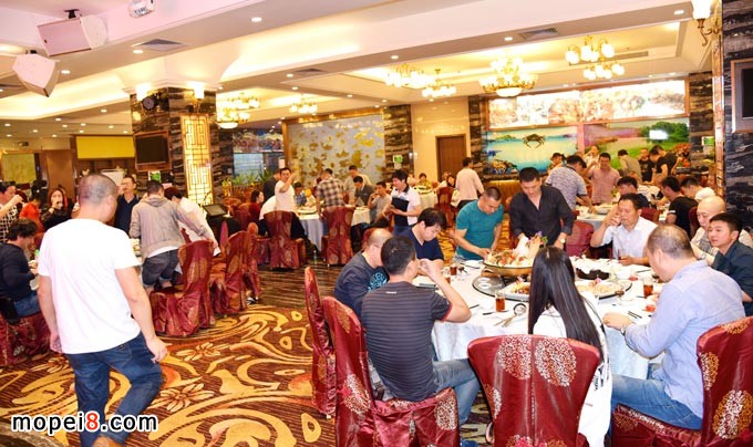 �V������̩�Q�����޹�˾