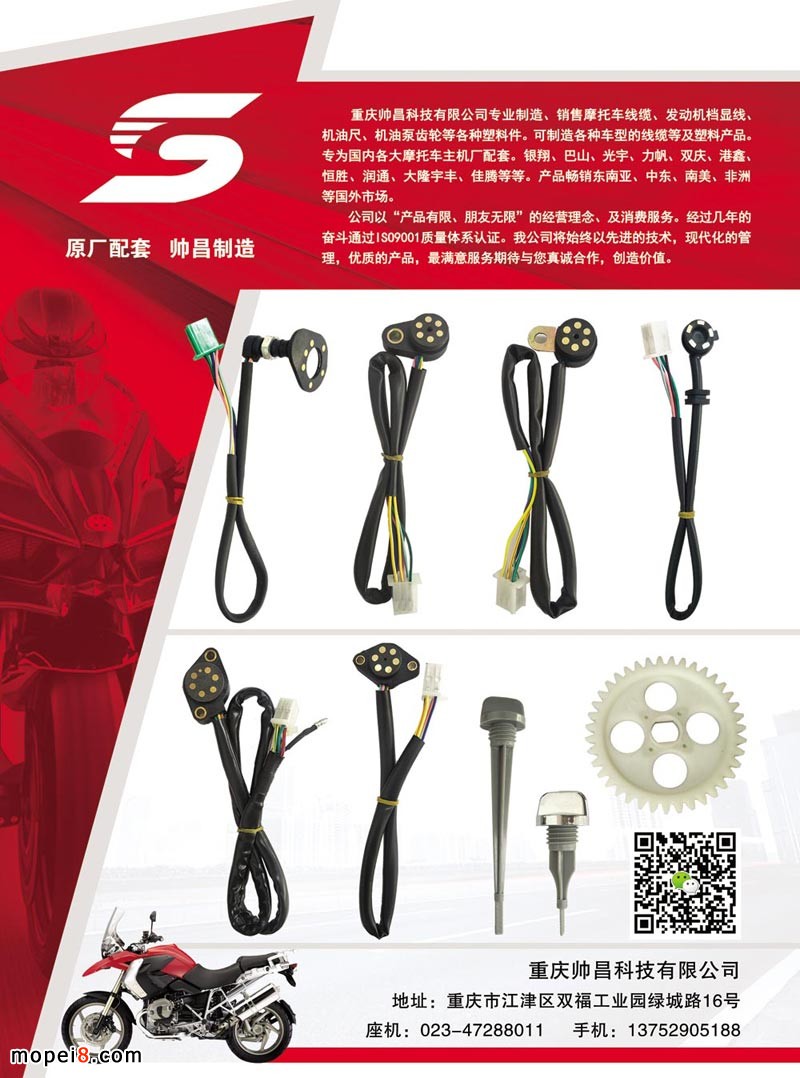 中國摩托車配件-發動機檔顯線束