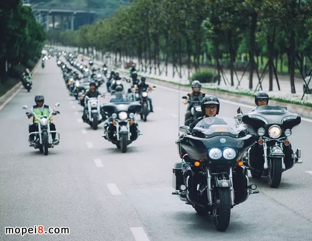 2019�Ї�Ħ����